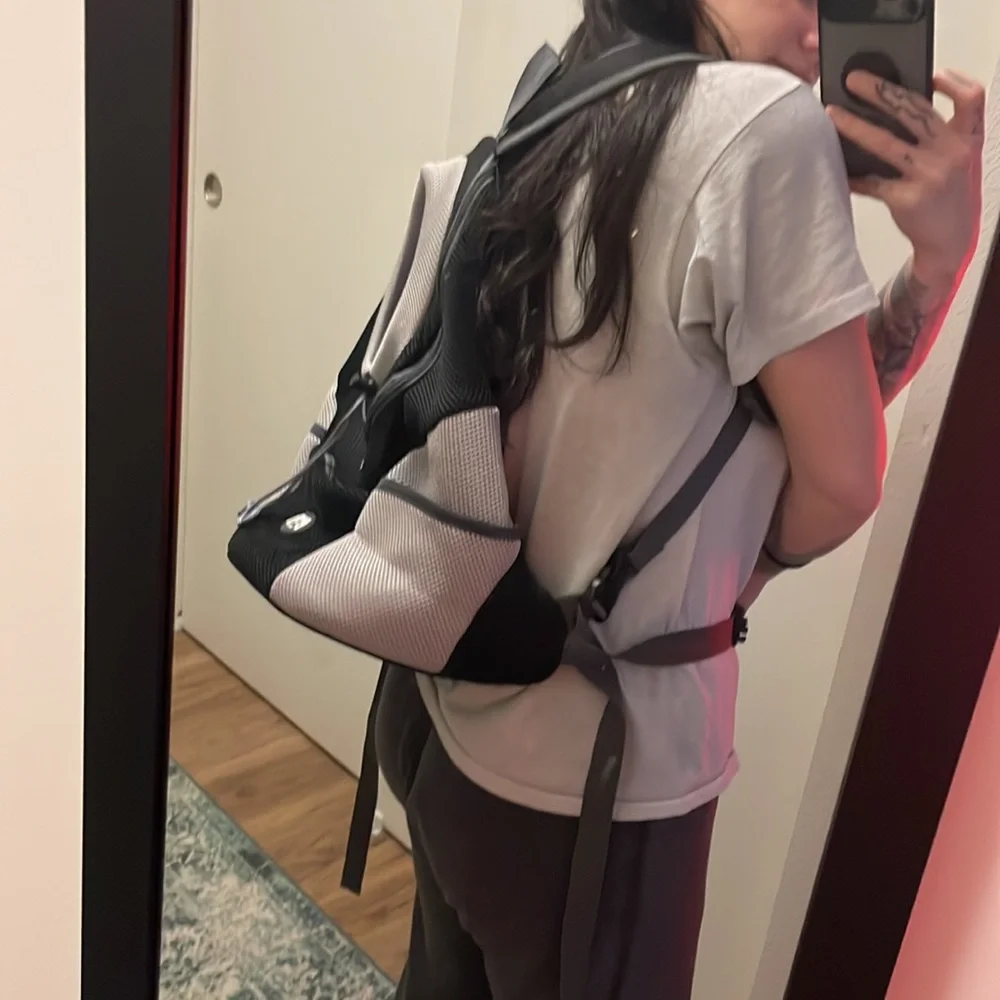 Dog backpack